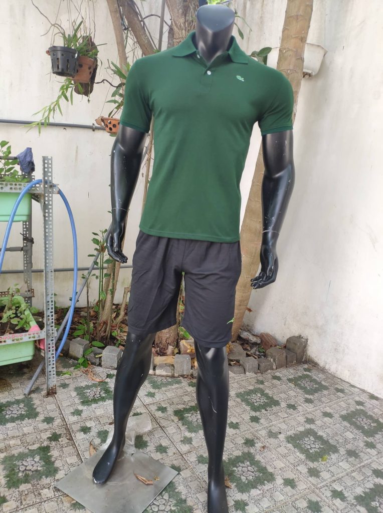 Áo Cá sấu Lacoste - Ảnh 3