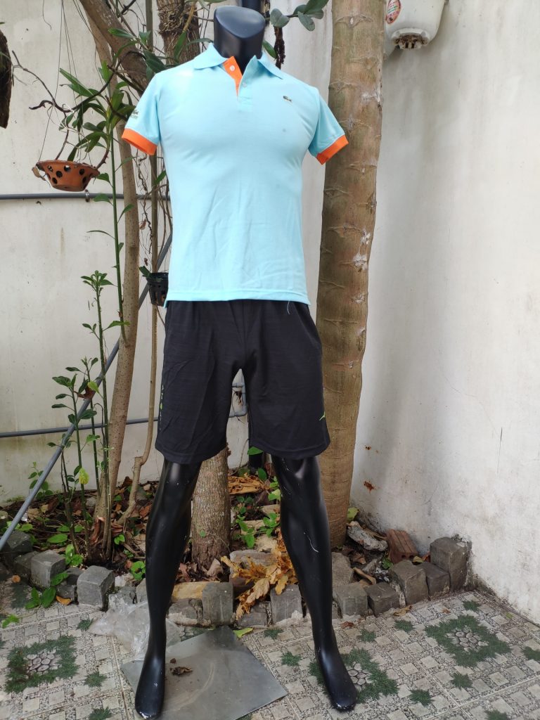 Áo Cá sấu Lacoste - Ảnh 9