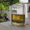 Bột thông cống sau 2h trộn với nước và vật phẩm thử nghiệm