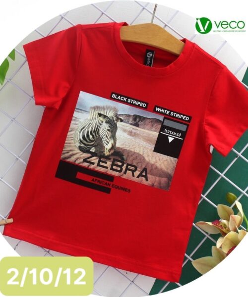 Áo Thun Bé Trai ZEBRA
