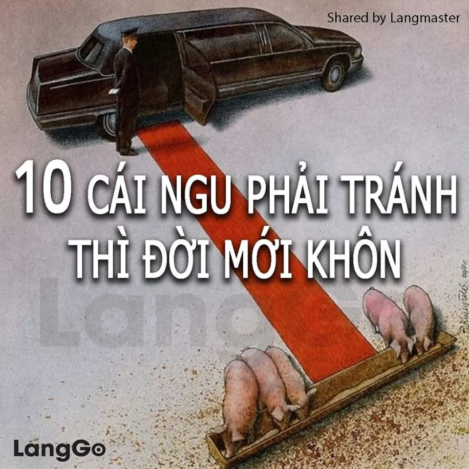 1020cai20ngu20phai20tranh 10 cái ngu phải tránh