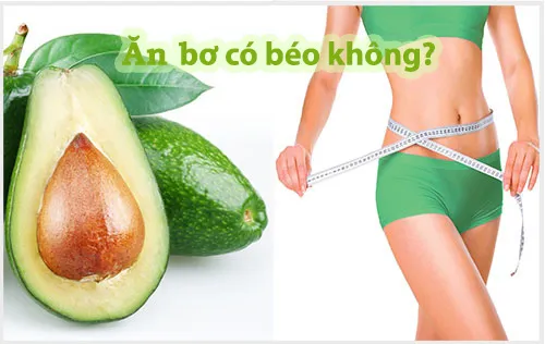 ăn bơ có béo không