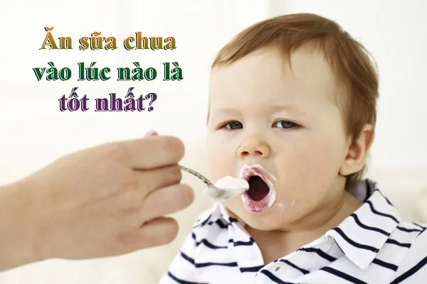 an20sua20chua20luc20nao20la20tot20nhat ăn sữa chua vào lúc nào là tốt nhất