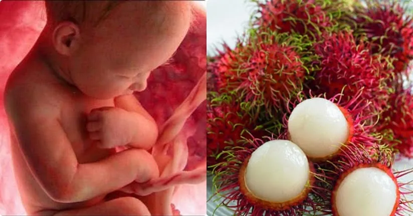 ba-bau-co-nen-an-chom-chom-khong bà bầu có nên ăn chôm chôm không