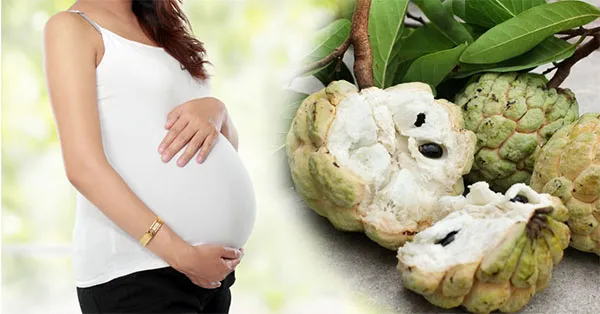 bà bầu có nên ăn na hay không