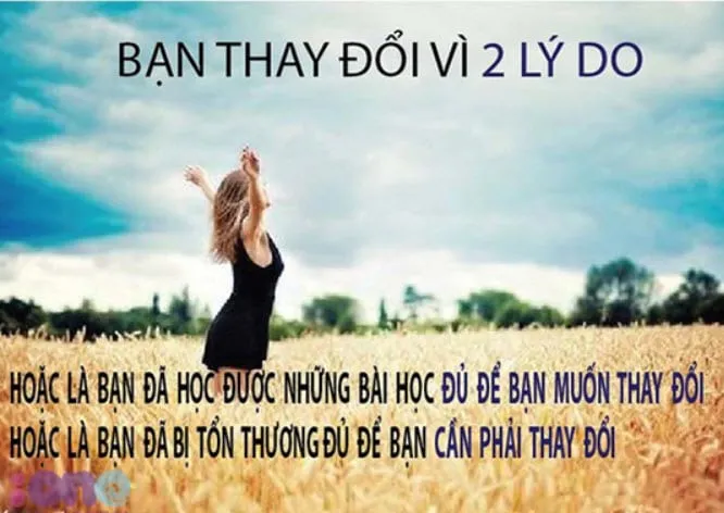 ban20thay20doi20vi20220ly20do