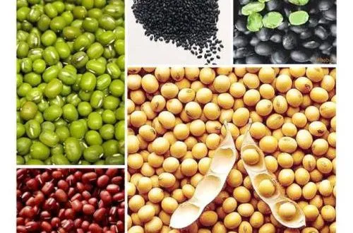 cách tăng vòng 1 bằng bột ngũ cốc