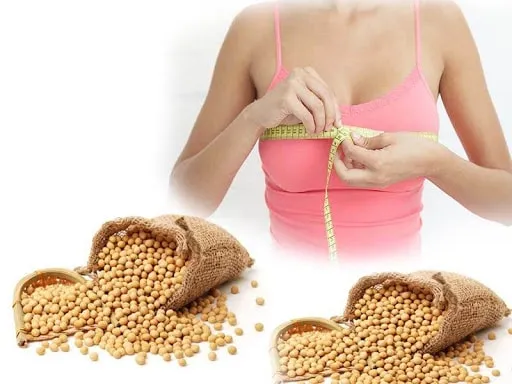 đậu nành cách tăng vòng 1 bằng các loại đậu