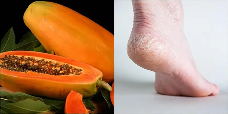 đu đủ chín