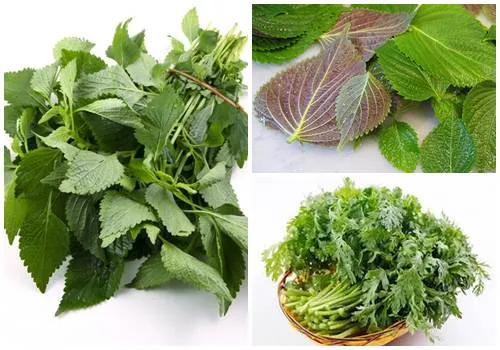 cách xông mặt bằng lá tía tô và kinh giới