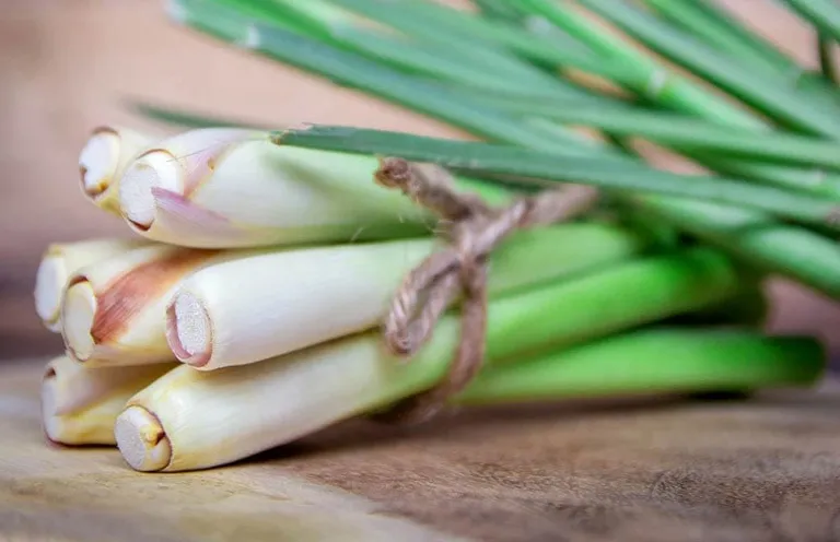 cách xông mặt bằng sả tươi