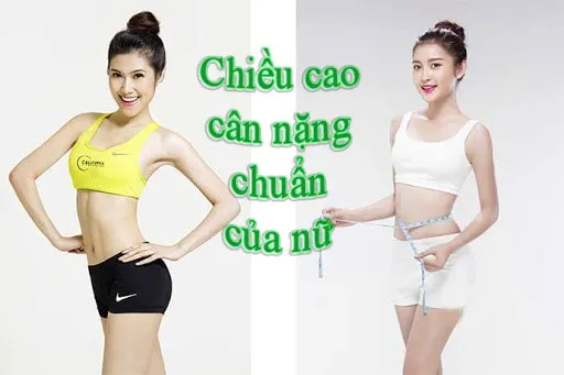 chiều cao cân nặng chuẩn của nữ