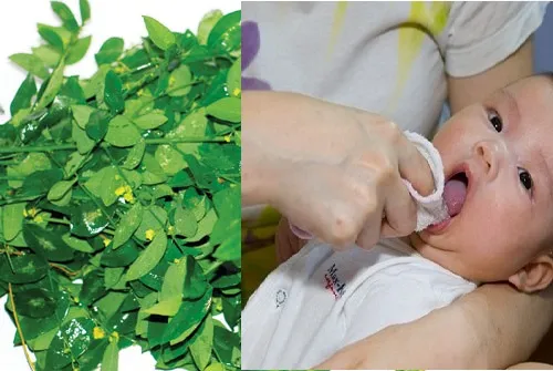 có nên rơ lưỡi cho trẻ sơ sinh bằng rau ngót