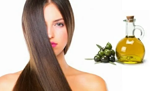 dầu oliu có tác dụng dưỡng tóc