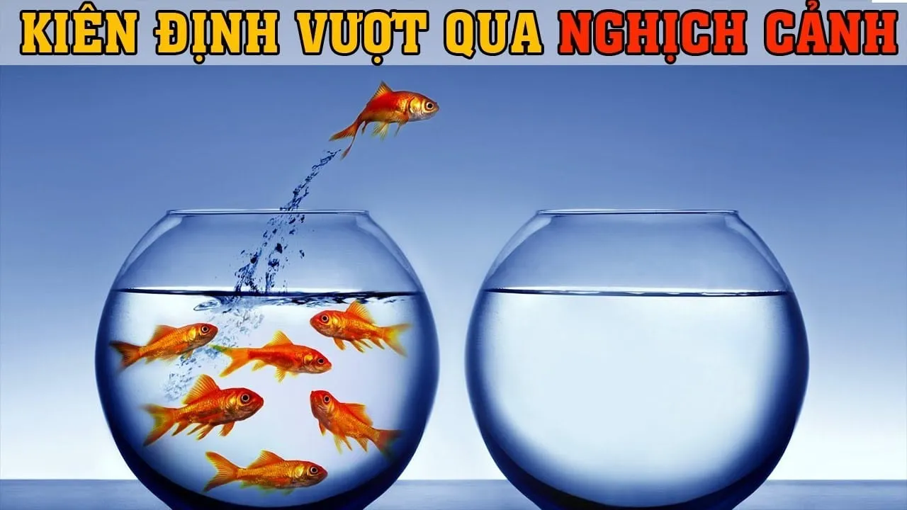 kien20dinh20vuot20qua20nghich20canh kiên định vượt qua nghịch cảnh