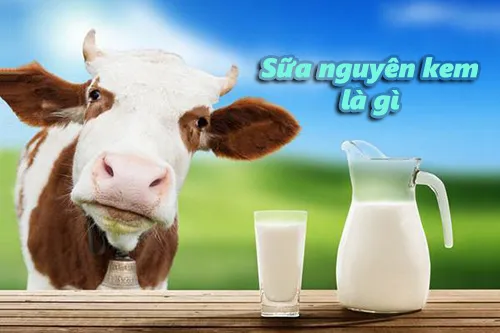 sữa nguyên kem là gì