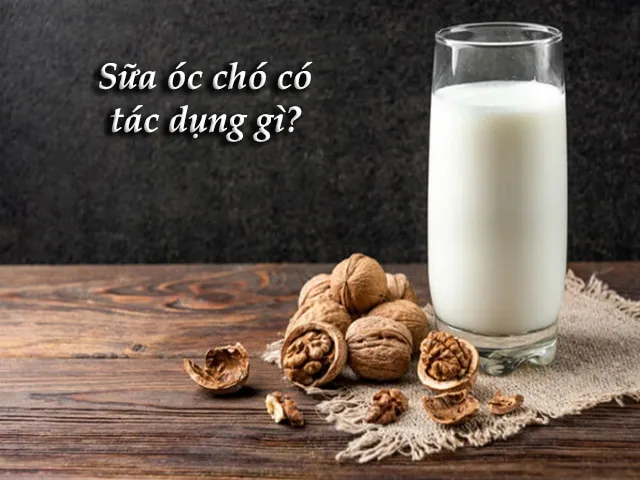 sữa óc chó có tác dụng gì