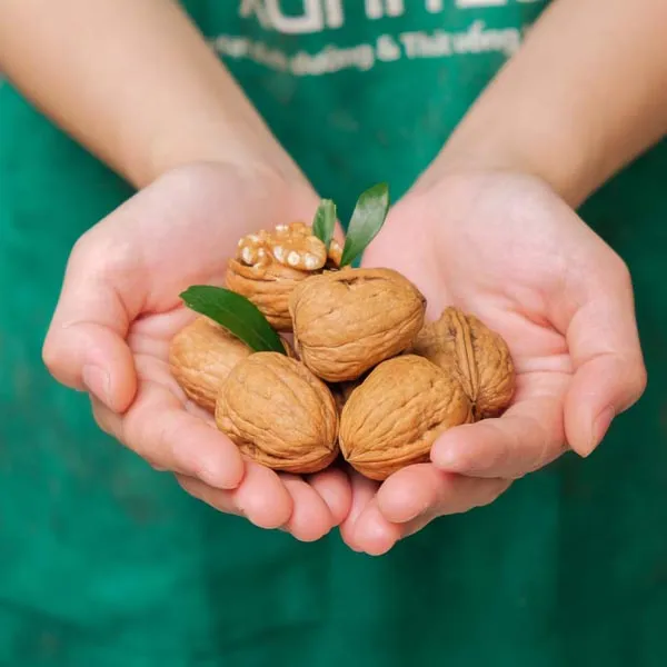 giúp ngăn ngừa ung thư