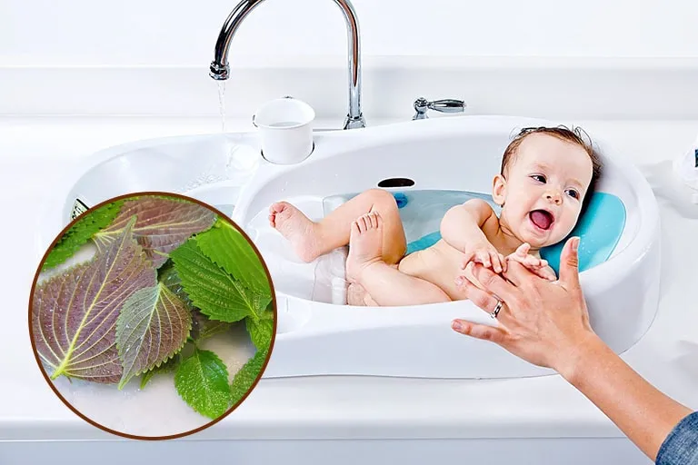 tác dụng của lá tía tô với trẻ sơ sinh trị rôm sảy