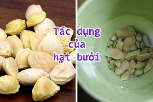 tác dụng của hạt bưởi đối với sức khỏe