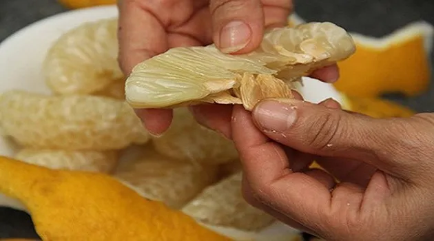 tạc dụng của hạt bưởi chữa bệnh ho