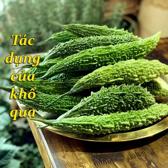 tác dụng của khổ qua