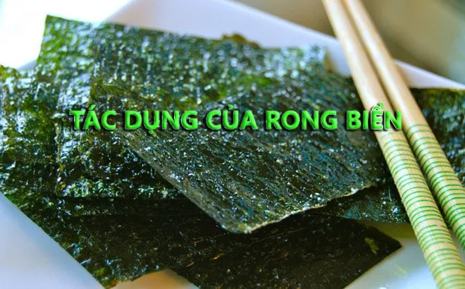 tác dụng của rong biển