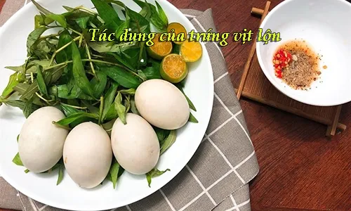 tac20dung20cua20trung20vit20lon tác dụng của trứng vịt lộn