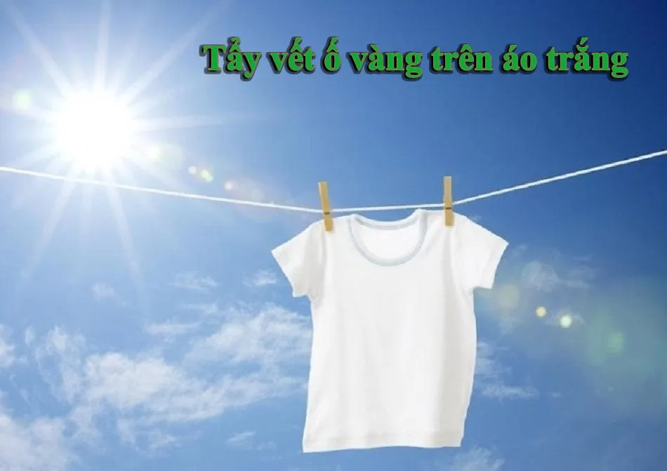 tẩy vết ố vàng trên áo trắng