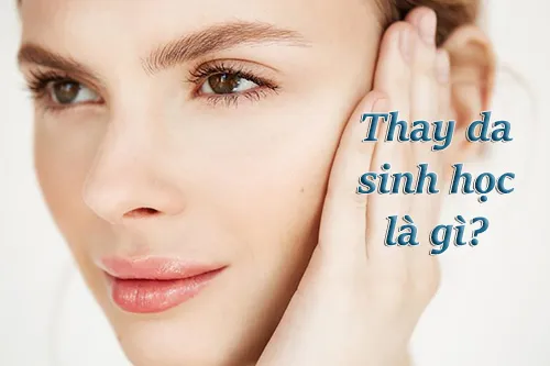 thay da sinh học là gì