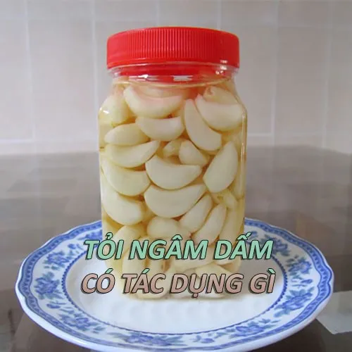 toi20ngam20dam20co20tac20dung20gi tỏi ngâm dấm có tác dụng gì