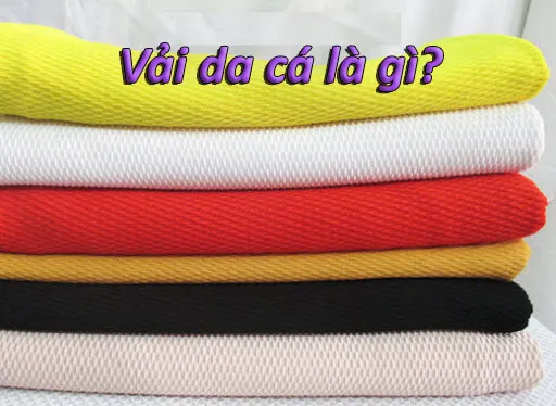 vải da cá là gì