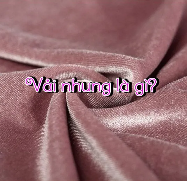 vai20nhung20la20gi vải nhung là gì