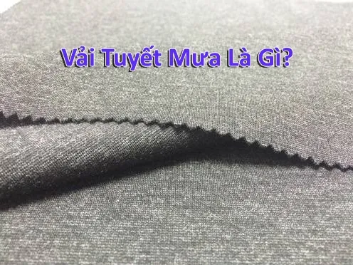 vải tuyết mưa là gì