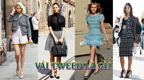 vải tweet là gì