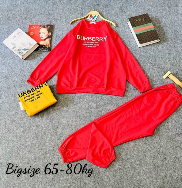 Bộ quần dài tay dài nữ Burberry - Ảnh 3