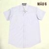 Mẫu 3