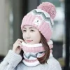 Mẫu 5