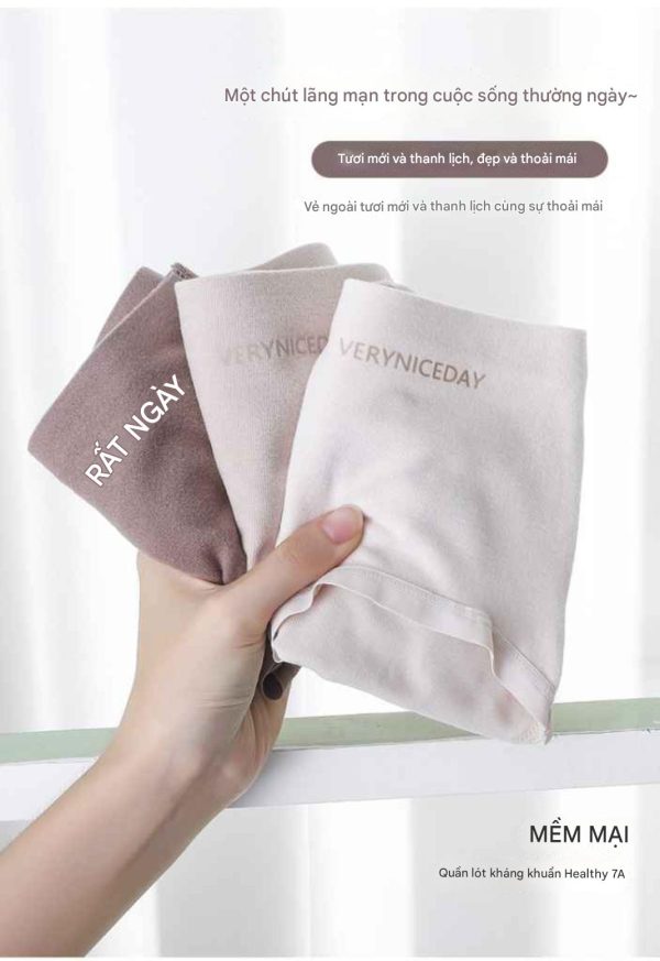 Quần lót nữ - Mẫu 1 - Quần lót nữ chất cotton mềm êm ái - Danangsale - Ảnh 4