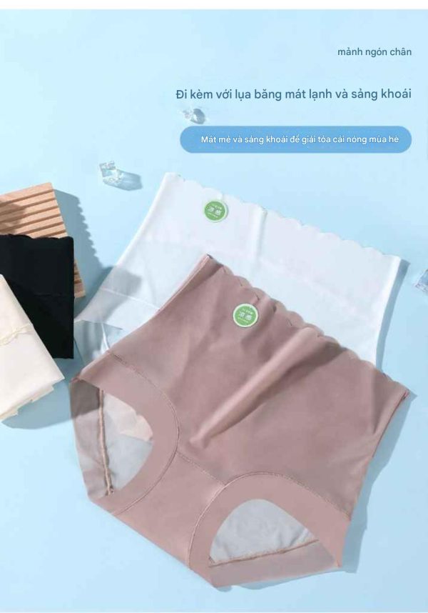 Quần lót nữ - Mẫu 2 - Quần lót nữ chất lụa băng lưới siêu mỏng - Danangsale - Ảnh 5