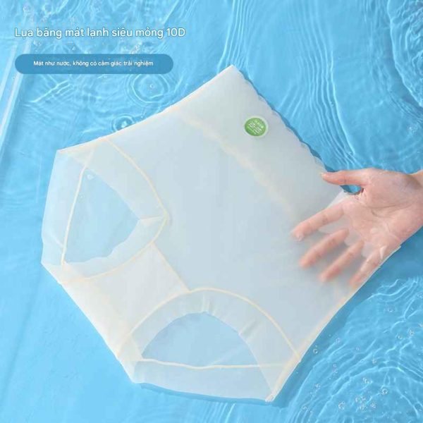 Quần lót nữ - Mẫu 2 - Quần lót nữ chất lụa băng lưới siêu mỏng - Danangsale - Ảnh 4