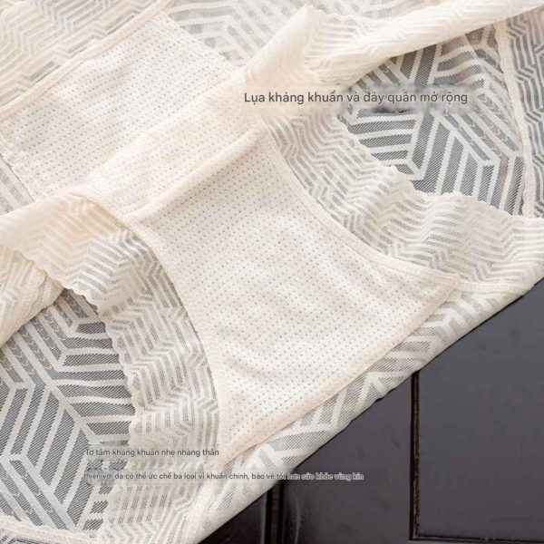 Quần lót nữ - Mẫu 6 - Quần lót nữ chất lụa tơ tằm nối ren liền mạch - Danangsale - Ảnh 4